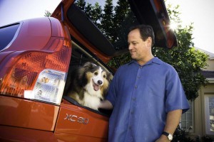 No, Volvo's not going to the dogs