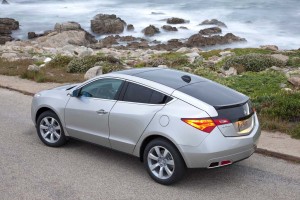 The 2010 Acura ZDX aims to deliver a large cargo compartment, an extensive technology package and Acura's Super Handling-All-Wheel-Drive.